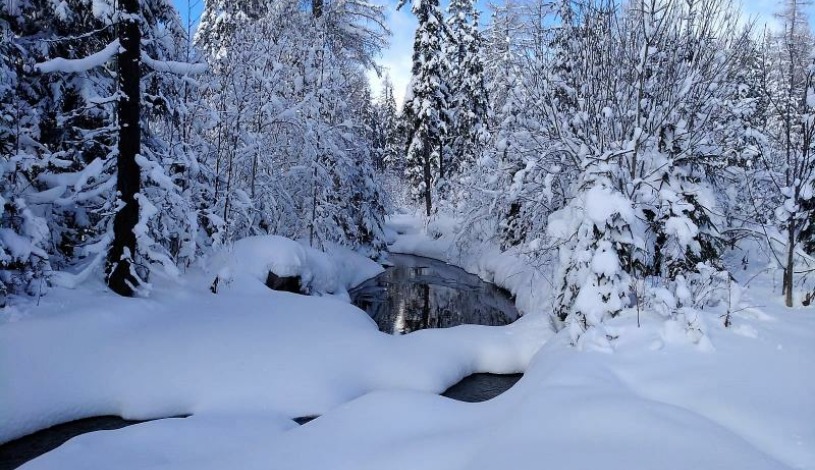 Hotel CROCUS **** Vysoké Tatry